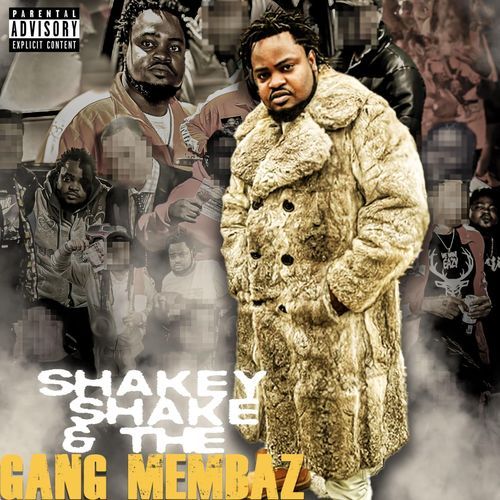 FAN NOW cover art