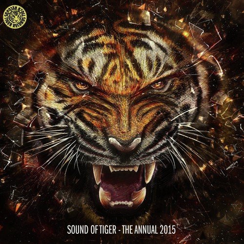 Sound of Tiger - The Annual 2015