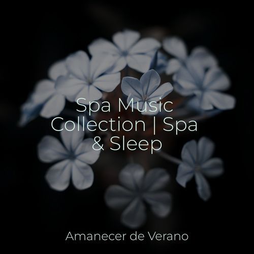 Santuario Secreto Relajante cover art