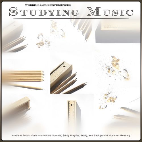 Study Playlist