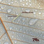 Summer Drops (Mendo Remix)