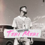 Teri Meri