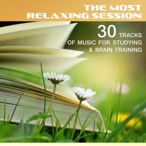 The Most Relaxing Session: 30 Tracks of Music for Studying & Brain Training – Calm Music to Working By, Reading, Focus & Learn