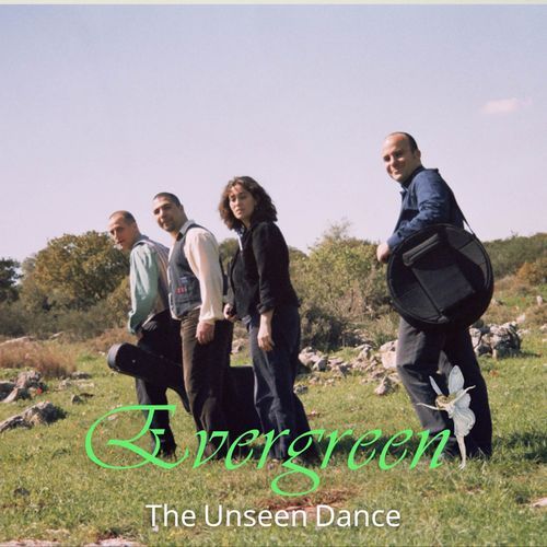 The Unseen Dance