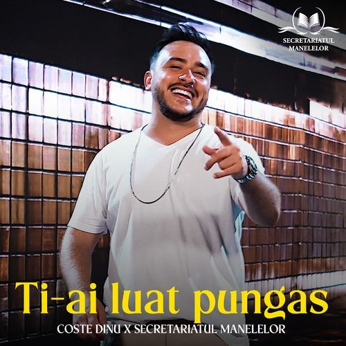 Ti-ai luat pungas_poster_image