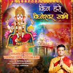Vighna Haro Vighneshwar Swami