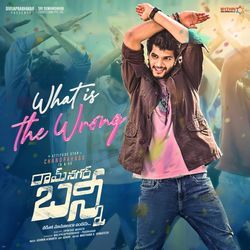 What is the wrong (From &quot;Ramnagar Bunny&quot;) (Original Motion Picture Soundtrack)-Nh0mAzt7REM