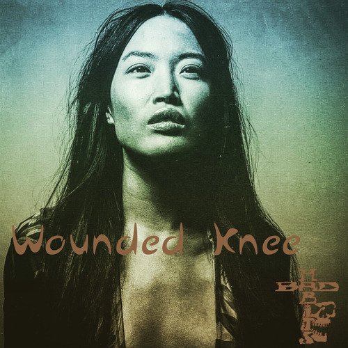 Wounded Knee_poster_image