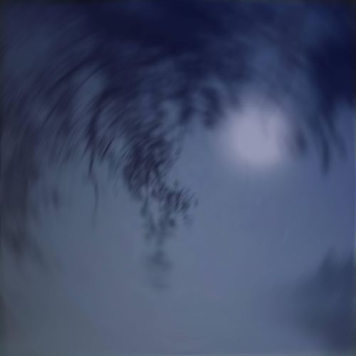 signal loss cover art