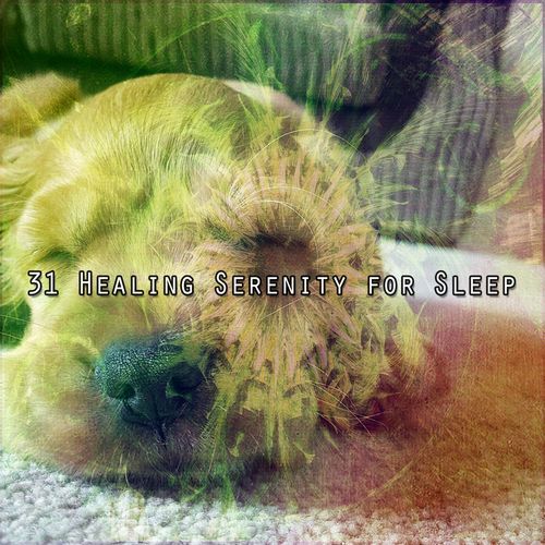 31 Healing Serenity for Sleep_poster_image