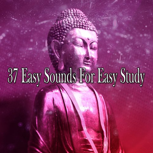 37 Easy Sounds For Easy Study