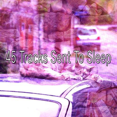 45 Tracks Sent To Sleep