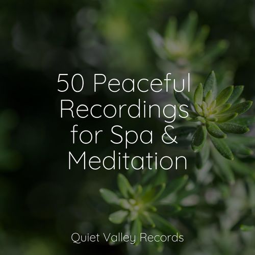 50 Peaceful Recordings for Spa & Meditation