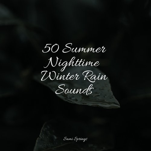 Rain, Storm and Thunder cover art
