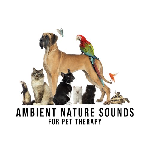 Birds Singing cover art