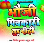 Bhauji Pichkari Tud Dihi (Bhojpuri Holi Song)