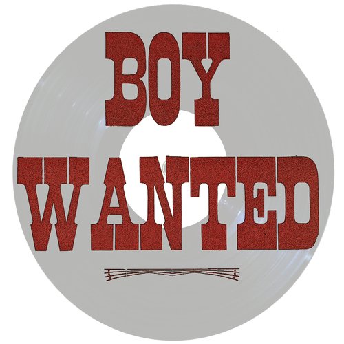 Boy Wanted_poster_image