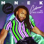 Colour (Cahill Remix)