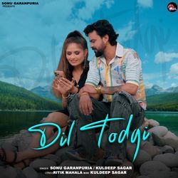 Dil Todgi