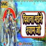 Diwana Bhaile Shyam Ji