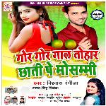 Gore Gore Gal Tohar Chhati Pe Mosammi