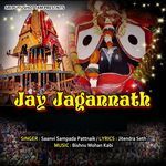 Jay Jagannath