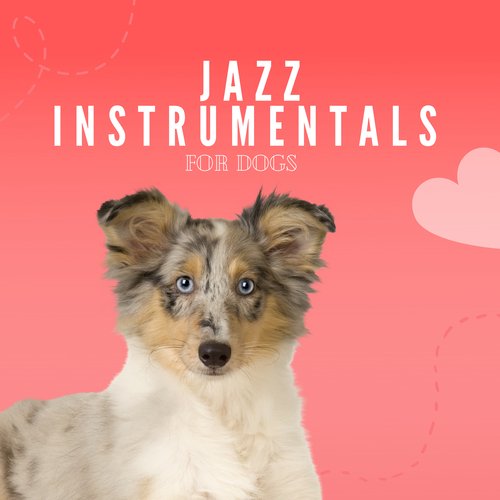 Jazz Instrumentals For Dogs_poster_image