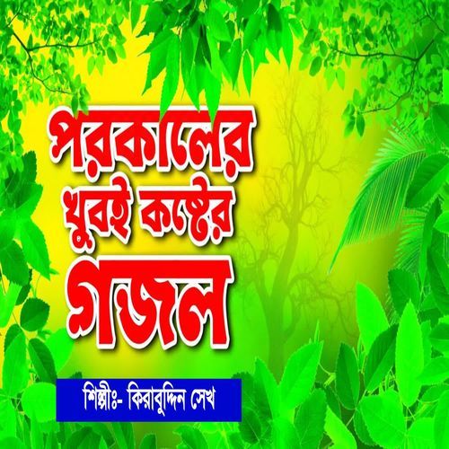 Jedin Ajrail Asibe Tomar Duare