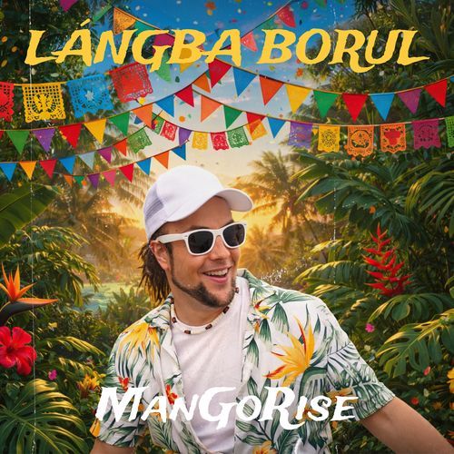 Lángba Borul cover art