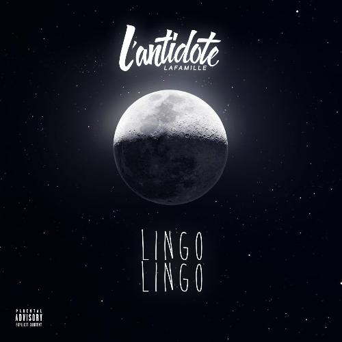 Lingo Lingo cover art