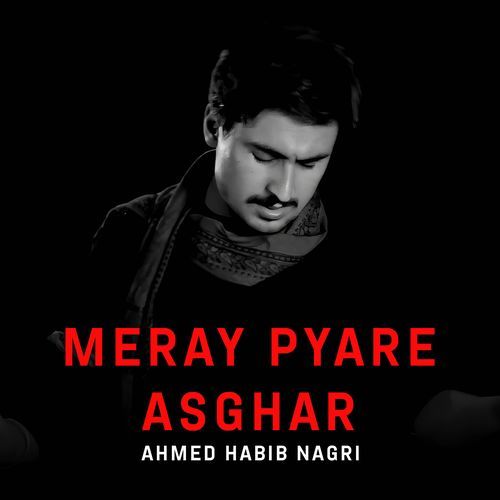 Meray Pyare Asghar