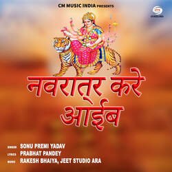 Navratr Kare Aaib-AispAy5kb2Y