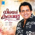 Neeyen Kinavalle