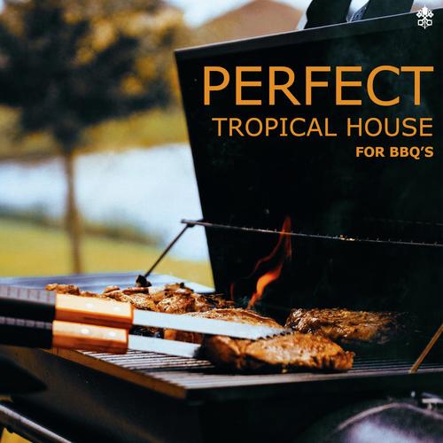 Perfect Tropical House For BBQ's