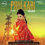Phulkari - Remix