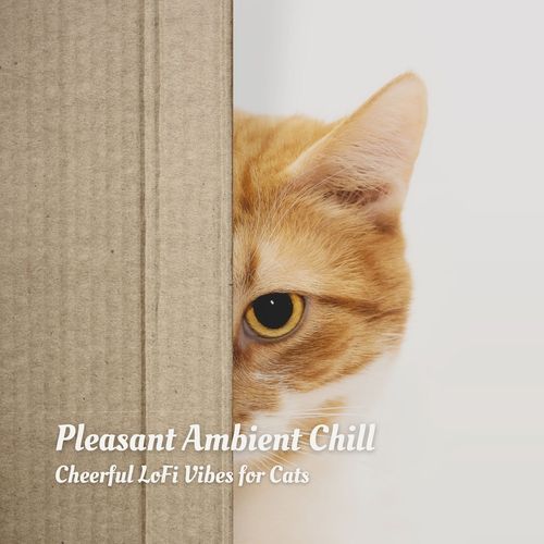 Chillhop Beats cover art