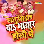 Sadhuaail Ba Bhatar Holi Me