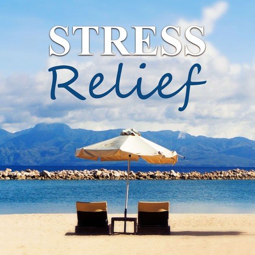 Stress Relief - First Class, Aromatherapy, Wellness, Relax Yourself, Well-Being, Hydro Energy Body Massage