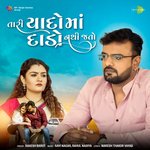 Tari Yaado Ma Dado Nathi Jato