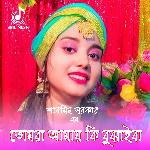 Tomra Amay Ki Bujaiba