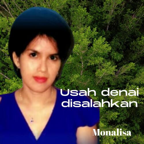 Usah Denai Disalahkan