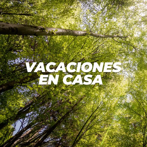 Vacaciones en casa