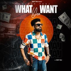 WHAT YOU WANT-GTs6bhBSRVY