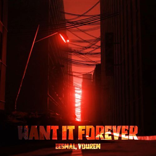 Want It Forever