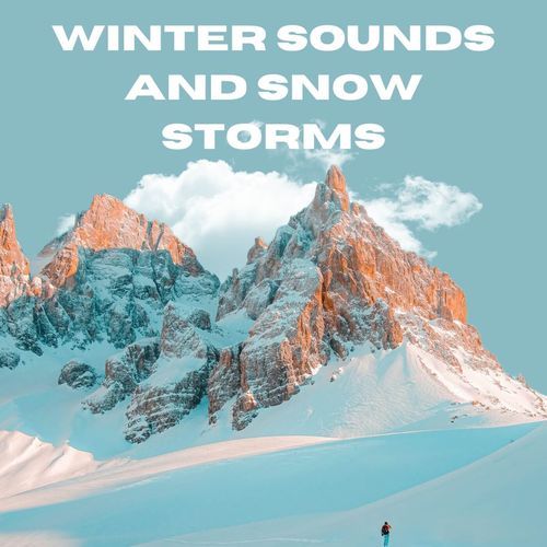 Winter Sounds And Snow Storms (Remastered)