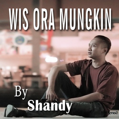 Wis Ora Mungkin (Karaoke Version)_poster_image