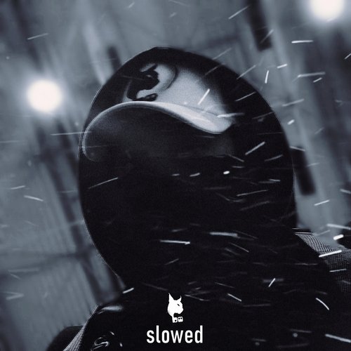 slowed_poster_image