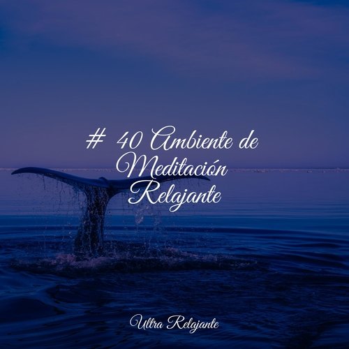 Viento Del Bosque Pacífico cover art