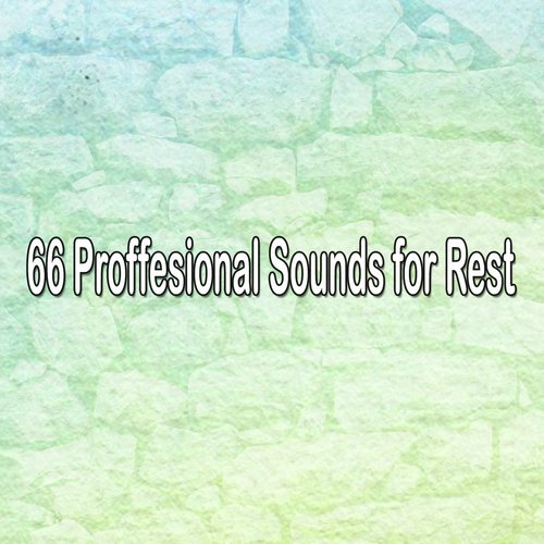 66 Proffesional Sounds for Rest