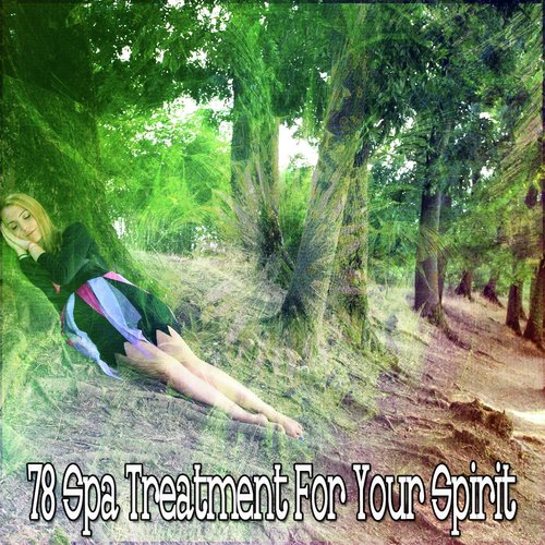 78 Spa Treatment for Your Spirit